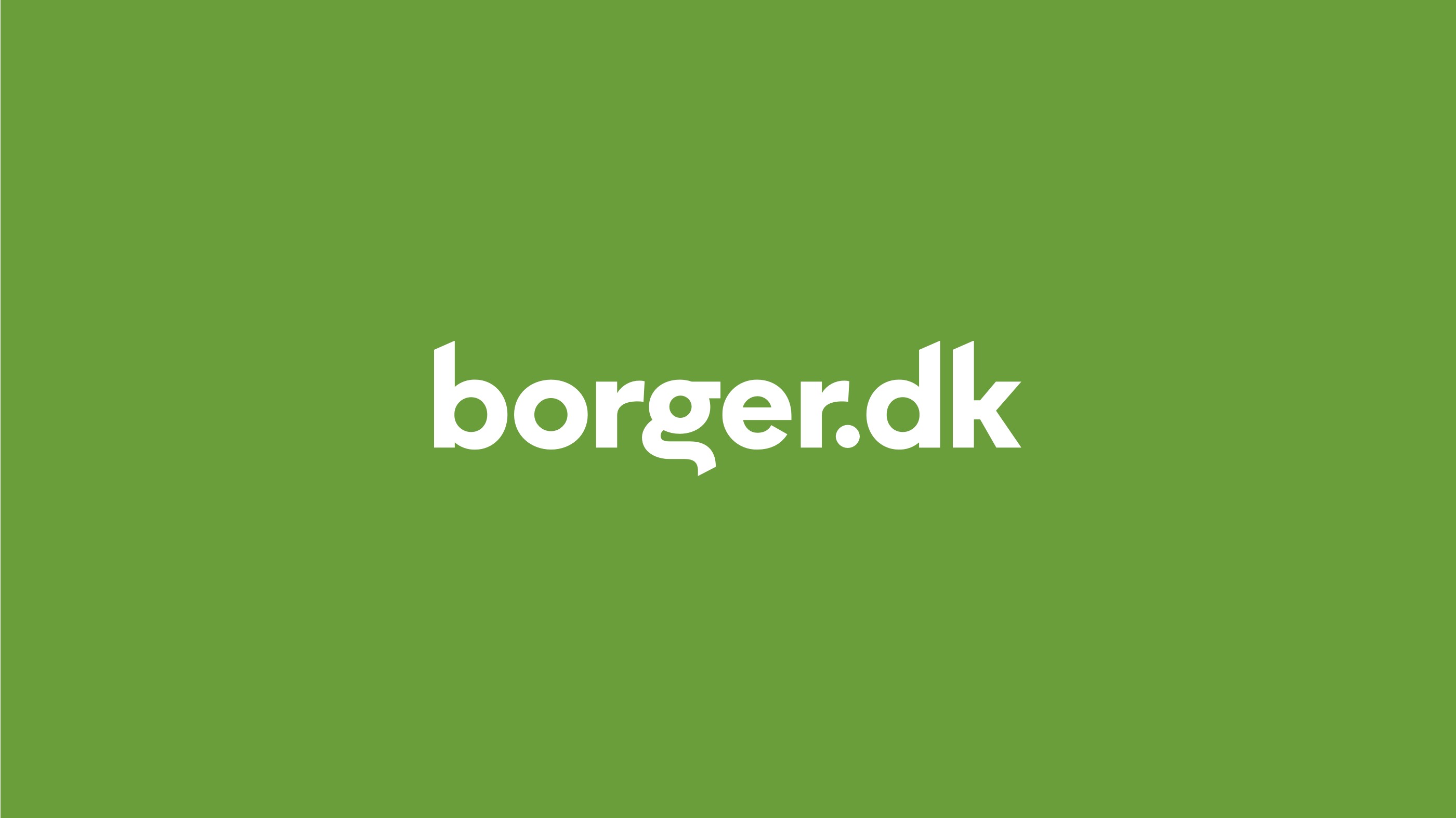 border.dk logo